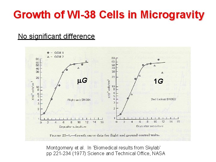 Growth of WI-38 Cells in Microgravity No significant difference m. G 1 G Montgomery