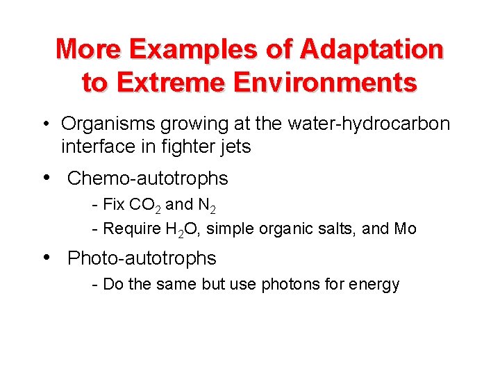 More Examples of Adaptation to Extreme Environments • Organisms growing at the water-hydrocarbon interface