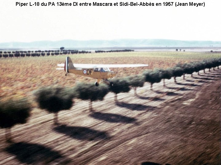 Piper L-18 du PA 13ème DI entre Mascara et Sidi-Bel-Abbès en 1957 (Jean Meyer)