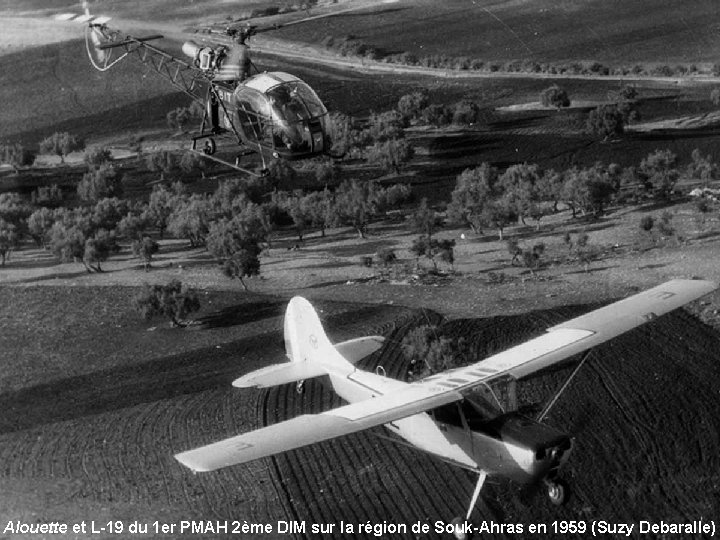 Alouette et L-19 du 1 er PMAH 2ème DIM sur la région de Souk-Ahras