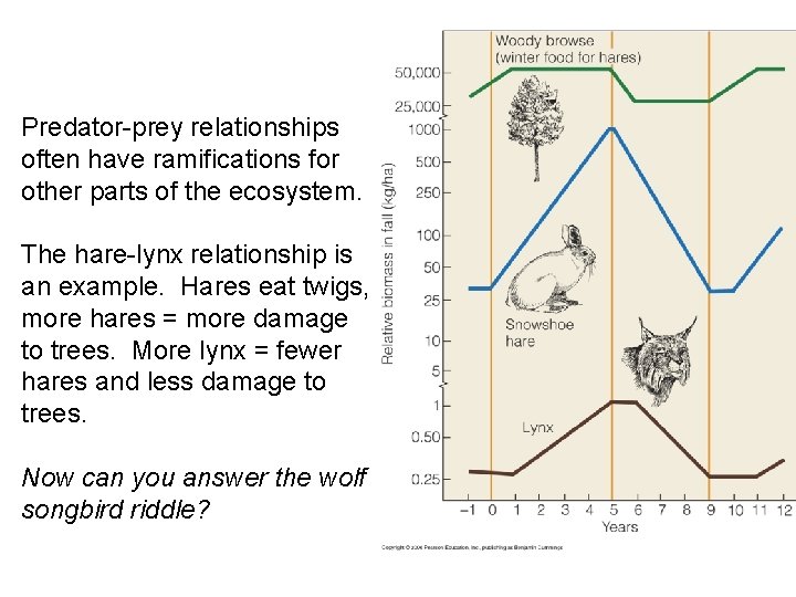 Predator-prey relationships often have ramifications for other parts of the ecosystem. The hare-lynx relationship