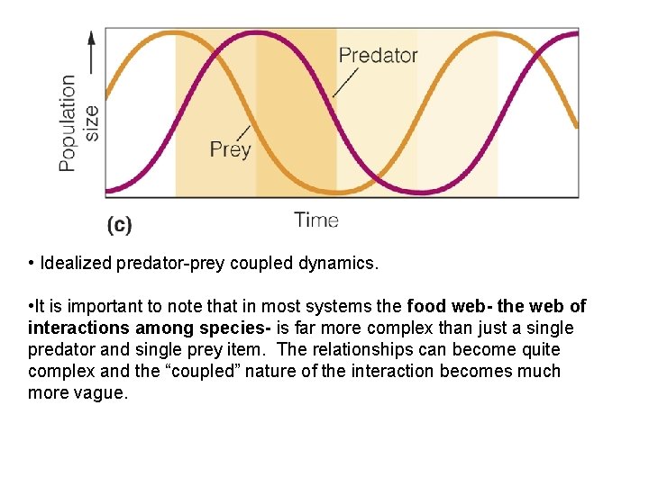  • Idealized predator-prey coupled dynamics. • It is important to note that in