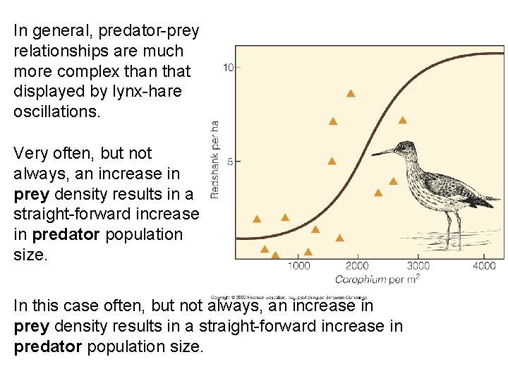 In general, predator-prey relationships are much more complex than that displayed by lynx-hare oscillations.