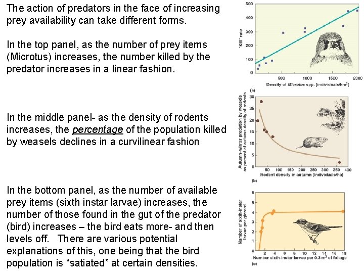 The action of predators in the face of increasing prey availability can take different