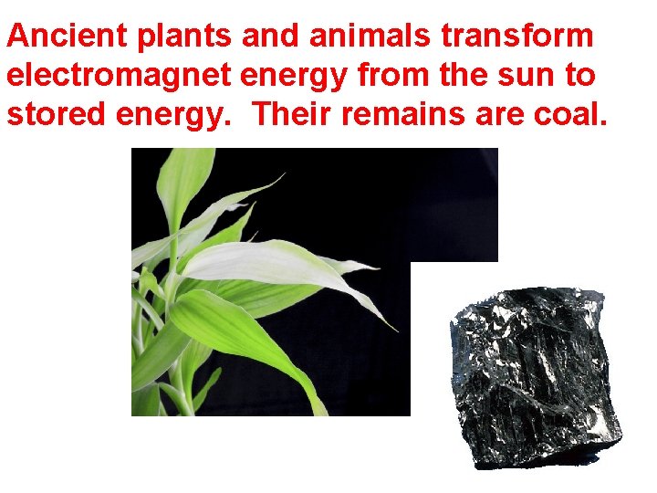 Ancient plants and animals transform electromagnet energy from the sun to stored energy. Their