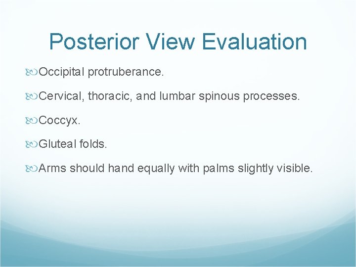 Posterior View Evaluation Occipital protruberance. Cervical, thoracic, and lumbar spinous processes. Coccyx. Gluteal folds.