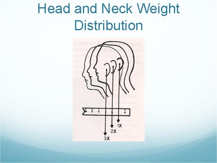 Head and Neck Weight Distribution 