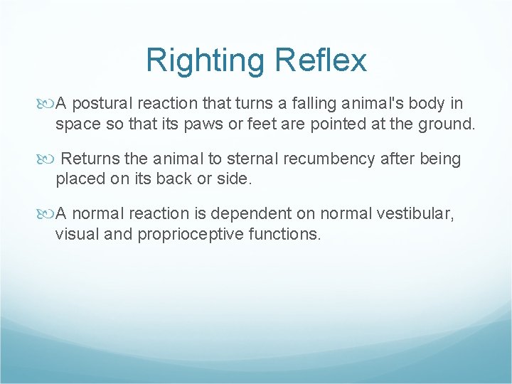 Righting Reflex A postural reaction that turns a falling animal's body in space so