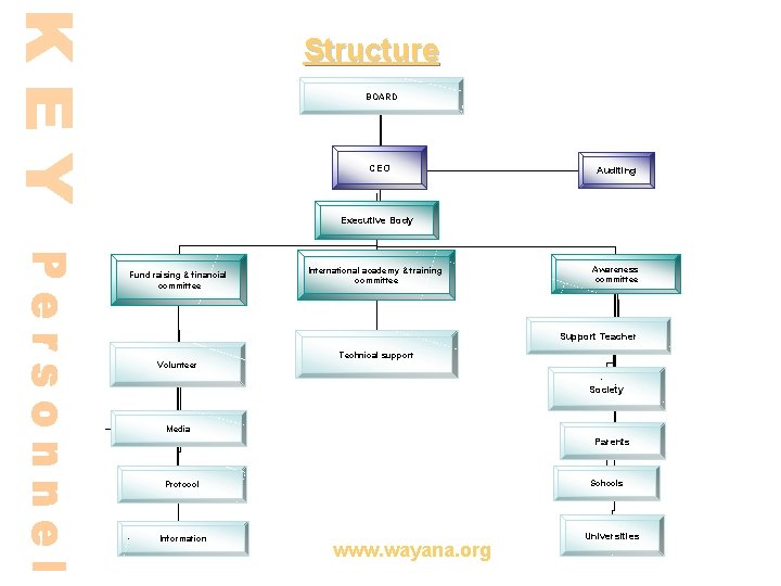 Structure BOARD CEO Auditing Executive Body Fund raising & financial committee International academy &