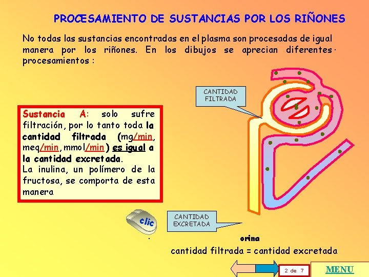 PROCESAMIENTO DE SUSTANCIAS POR LOS RIÑONES No todas las sustancias encontradas en el plasma