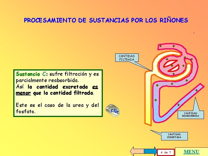 PROCESAMIENTO DE SUSTANCIAS POR LOS RIÑONES. CANTIDAD FILTRADA Sustancia C: sufre filtración y es