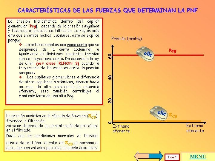 CARACTERÍSTICAS DE LAS FUERZAS QUE DETERMINAN LA PNF Presión (mm. Hg) Pcg 40 60