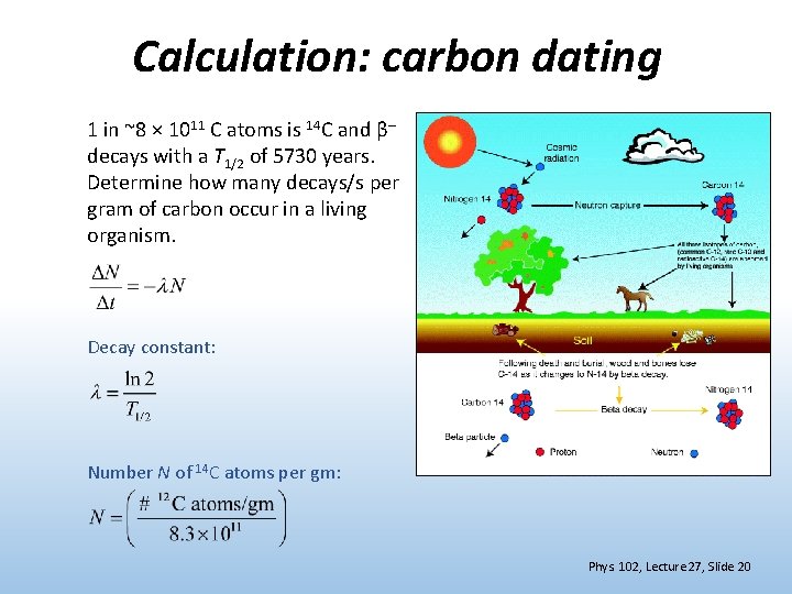 Calculation: carbon dating 1 in ~8 × 1011 C atoms is 14 C and