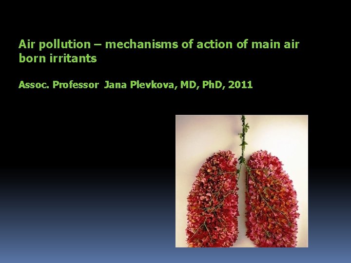 Air pollution – mechanisms of action of main air born irritants Assoc. Professor Jana