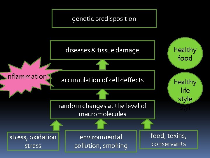 genetic predisposition inflammation diseases & tissue damage healthy food accumulation of cell deffects healthy