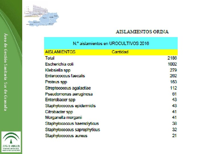 Área de Gestión Sanitaria Sur de Granada Dirección de ……………… 