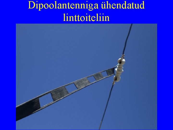 Dipoolantenniga ühendatud linttoiteliin 