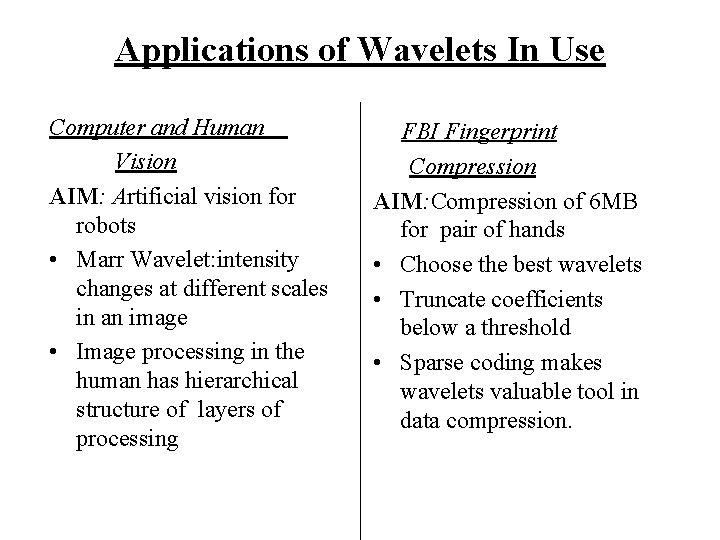 Applications of Wavelets In Use Computer and Human Vision AIM: Artificial vision for robots