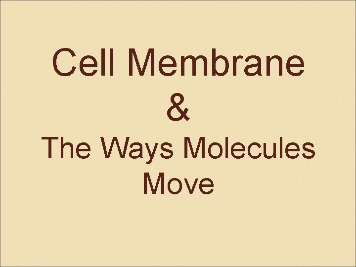 Cell Membrane & The Ways Molecules Move 