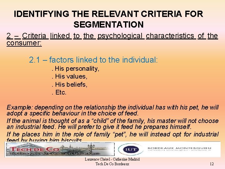 IDENTIFYING THE RELEVANT CRITERIA FOR SEGMENTATION 2 – Criteria linked to the psychological characteristics