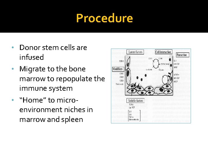 Procedure • Donor stem cells are infused • Migrate to the bone marrow to