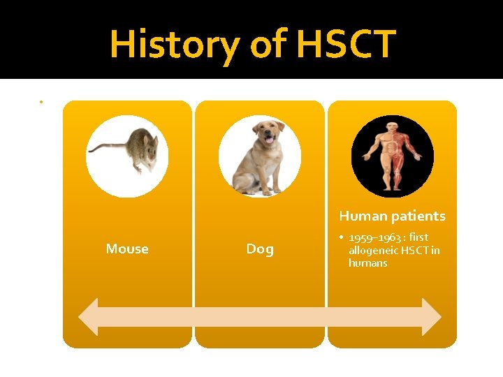 History of HSCT • Human patients Mouse Dog • 1959– 1963 : first allogeneic