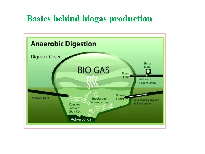 Basics behind biogas production 