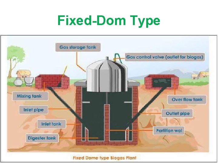 Fixed-Dom Type 