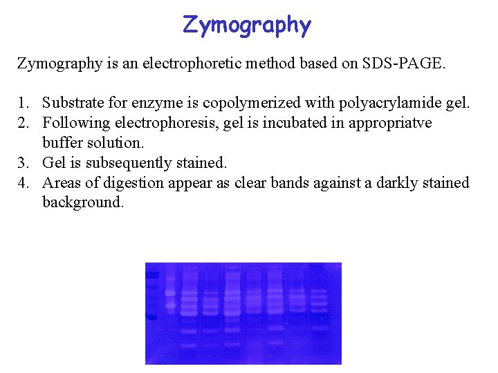 Zymography is an electrophoretic method based on SDS-PAGE. 1. Substrate for enzyme is copolymerized