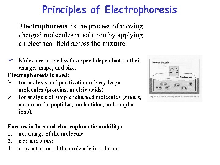 Principles of Electrophoresis is the process of moving charged molecules in solution by applying