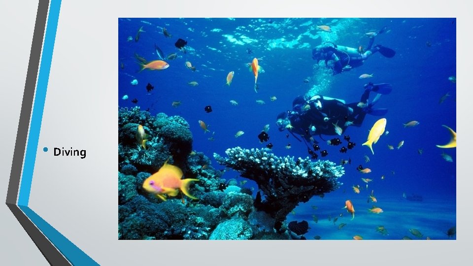  • Diving 