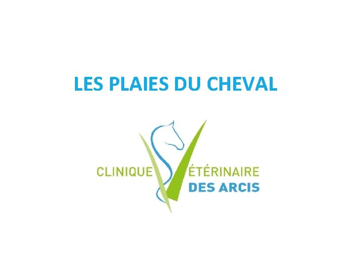 LES PLAIES DU CHEVAL LES PLAIES DU CHEVAL
