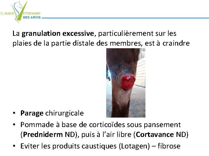 La granulation excessive, particulièrement sur les plaies de la partie distale des membres, est La granulation excessive, particulièrement sur les plaies de la partie distale des membres, est