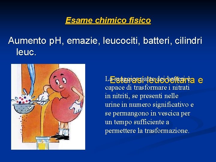 Esame chimico fisico Aumento p. H, emazie, leucociti, batteri, cilindri leuc. nitriti La. Esterasi