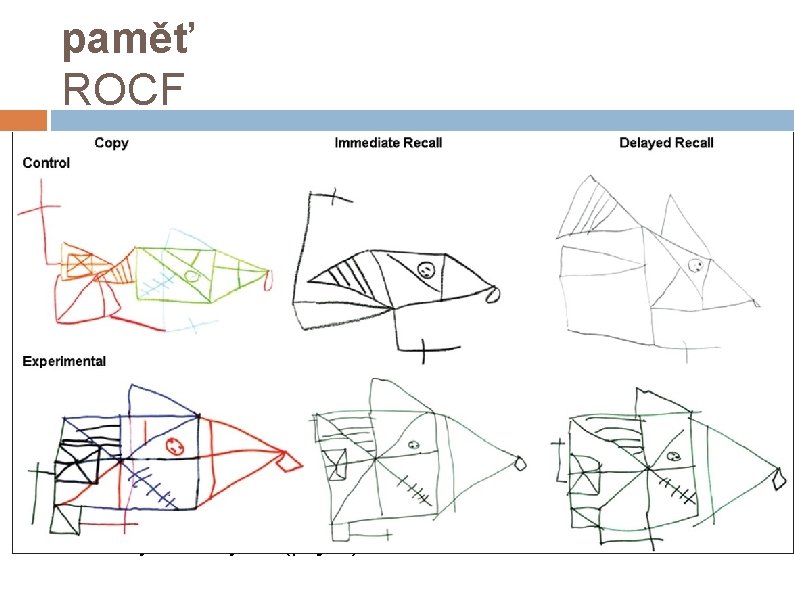 paměť ROCF kopie - percepce, grafomotorika reprodukce po 3 minutách (někdy výměna barevných fixů)