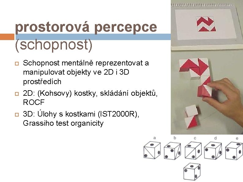 prostorová percepce (schopnost) Schopnost mentálně reprezentovat a manipulovat objekty ve 2 D i 3