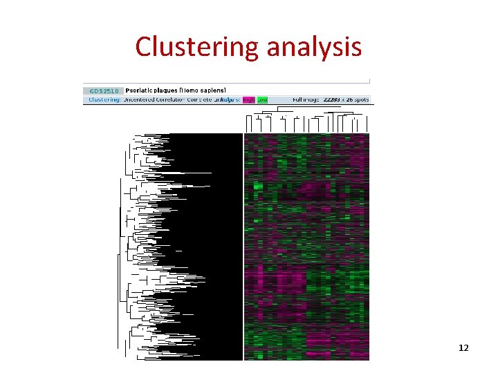 Clustering analysis 12 