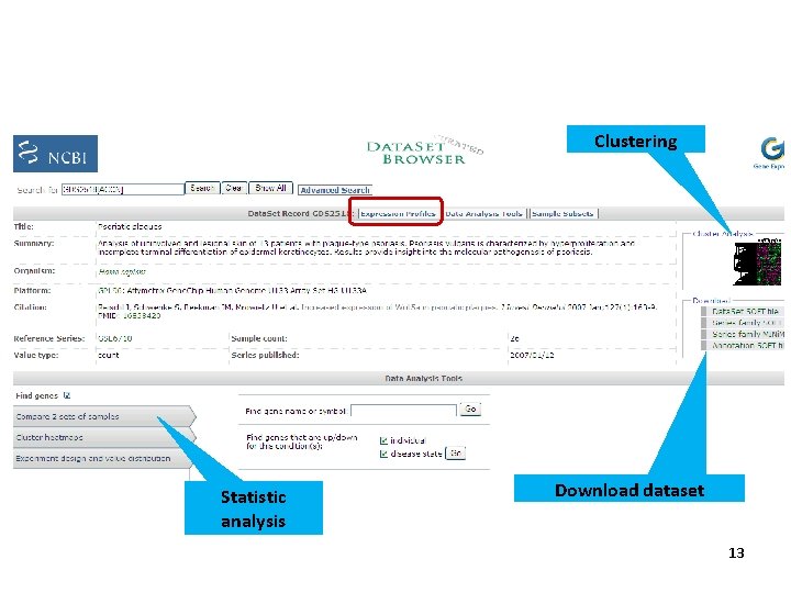 Clustering Statistic analysis Download dataset 13 