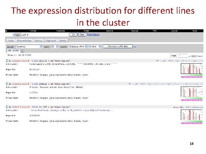 The expression distribution for different lines in the cluster 14 