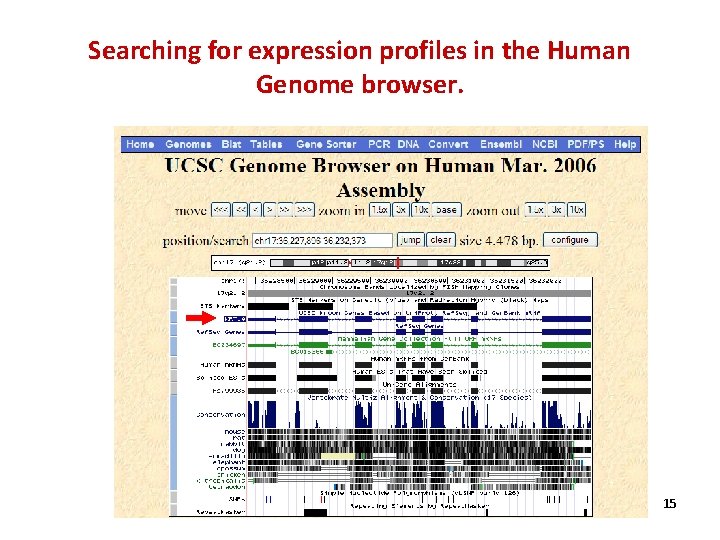 Searching for expression profiles in the Human Genome browser. 15 