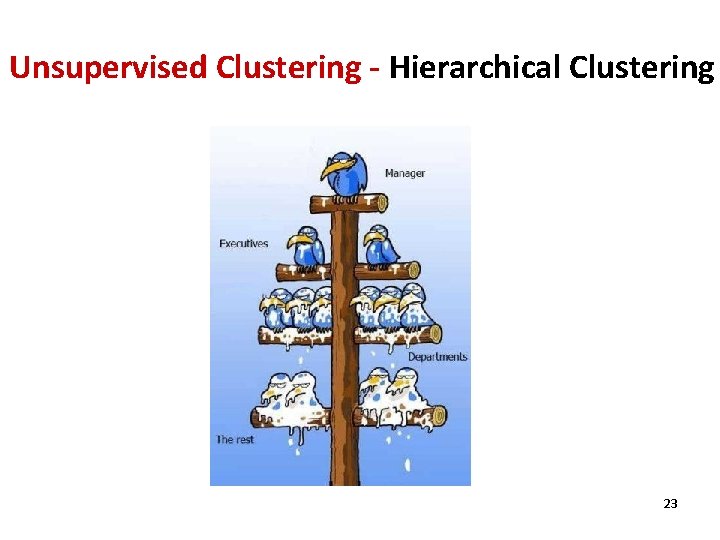 Unsupervised Clustering - Hierarchical Clustering 23 