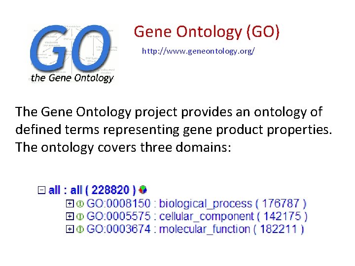 Gene Ontology (GO) http: //www. geneontology. org/ The Gene Ontology project provides an ontology