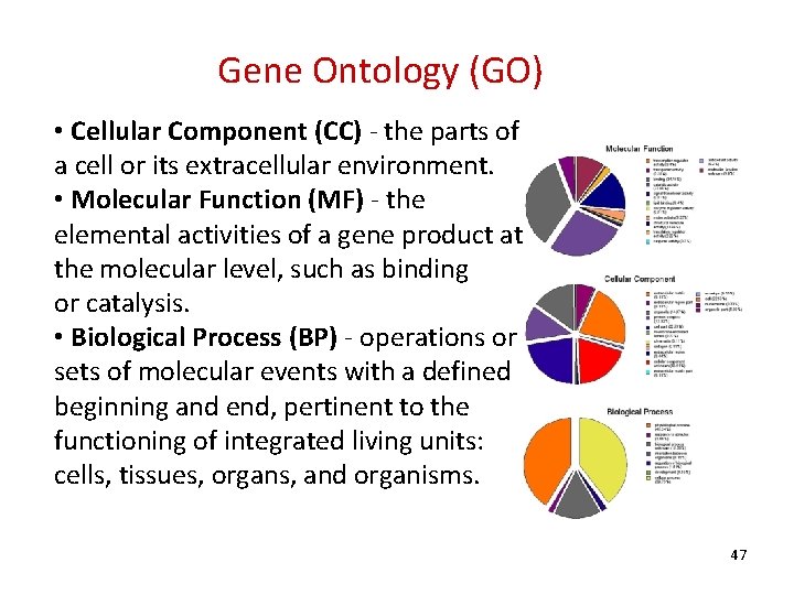 Gene Ontology (GO) • Cellular Component (CC) - the parts of a cell or