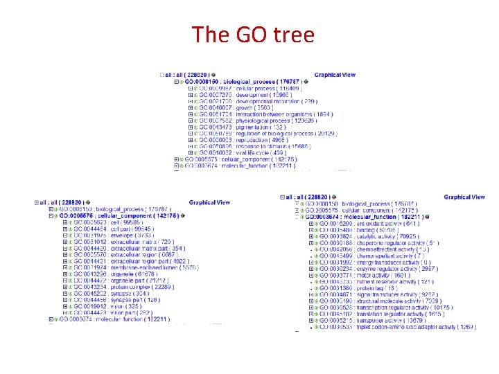 The GO tree 