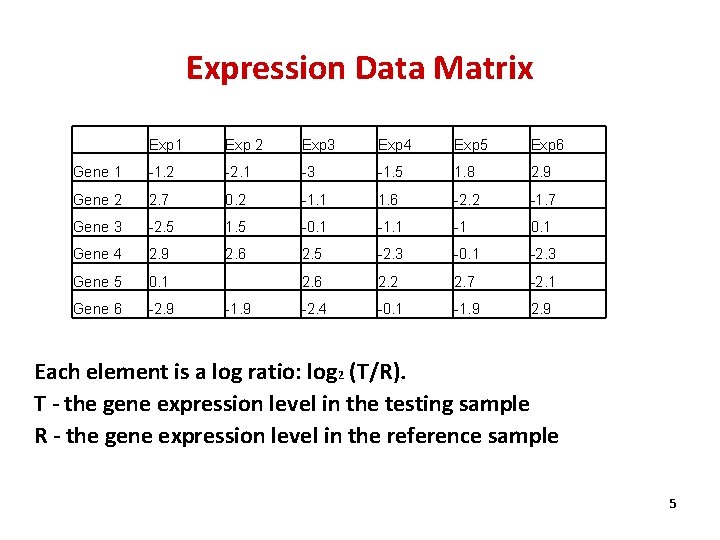 Expression Data Matrix Exp 1 Exp 2 Exp 3 Exp 4 Exp 5 Exp
