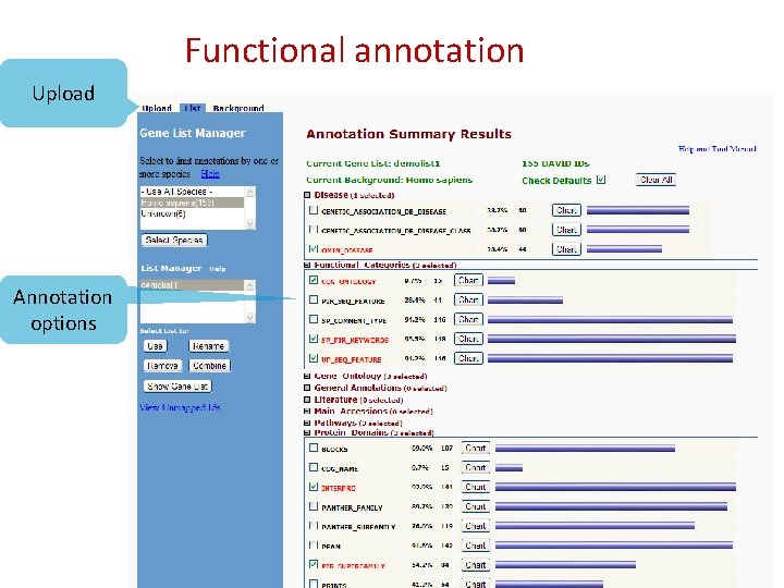 Functional annotation Upload Annotation options 