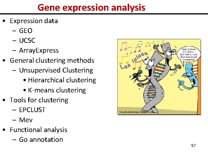 Gene expression analysis • Expression data – GEO – UCSC – Array. Express •