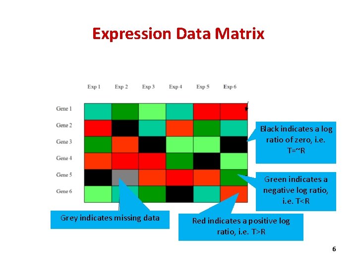 Expression Data Matrix Black indicates a log ratio of zero, i. e. T=~R Green