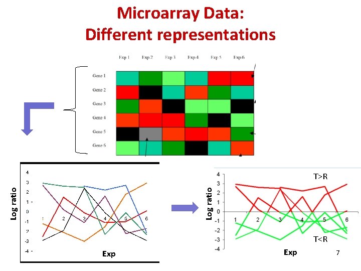 Microarray Data: Different representations Log ratio T>R T<R Exp 7 