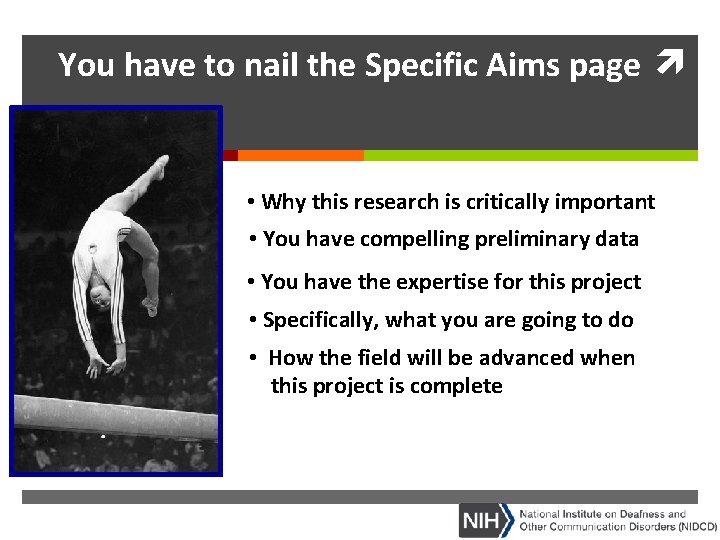 You have to nail the Specific Aims page • Why this research is critically